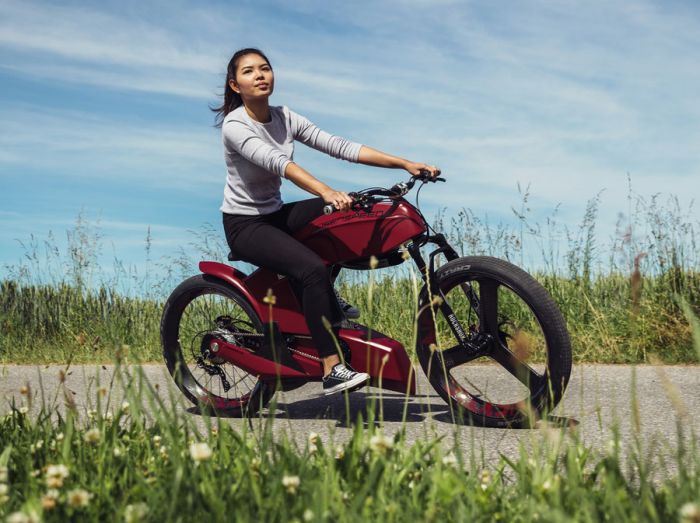 Düsenspeed, e-Bikes suizos con pasión